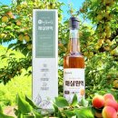 광양매화골농원 영농조합법인 이미지