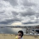 주문진황금돼지 이미지