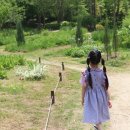 아리수가든 이미지