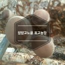 고노골농장 이미지