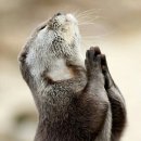 알콩달콩 이미지