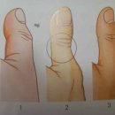 ★ 다섯 손가락 운동으로 건강 찾는 법 ★ | 이미지