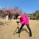 픽디자인 카본 여행용 삼각대. 바로 내가 찾던 삼각대였다! + 테크 파우치
