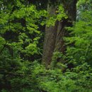 기린한약국 이미지