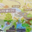 곤지암 화담숲 여름수국축제 모노레일 &amp; 산책 &amp; 식당 후기