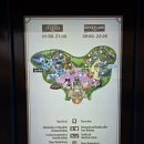 아름다운도시행복한도 | 파리 가이드 투어 + 디즈니랜드 후기, 자유여행 가볼 만한 곳 추천