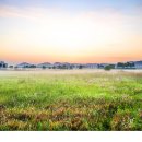 소래습지생태공원 이미지