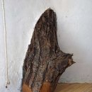 산위의찻집 Daum카페