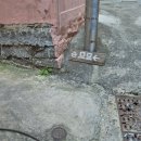 세븐일레븐 부산서면전포점 | 부산 서면 전포 감성카페 므므 파블로바 솔직후기