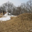 운성부원군묘 이미지