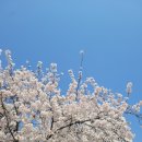 김홍도미술관 화장실 | [여행] 25년 4월-대구 당일치기 모녀 여행