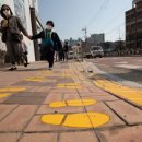 신호대기 횡단보도 이미지