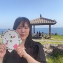 늘봄빈티지