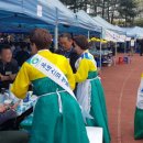 고창모양성보존회 네이버블로그