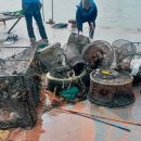 타이어천지 이미지