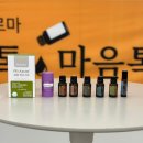 라미살롱 | 봄을 깨우는 향기파티! 도테라 자유그룹 3월의 '향기살롱' 후기