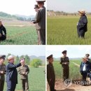 고래농장 이미지