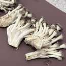 21세기할인마트 이미지