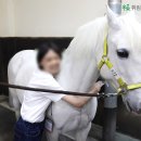 백양대로804번길(대덕길) | 기력회복 암환자 운동 홀스테라피 후기