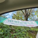 안중북로 이미지