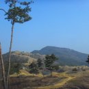 가야대학교(고령) 이미지