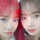 유정유리 이미지