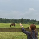 가라월라 이미지