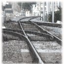 어느 날 오후 이미지