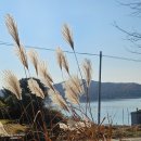 경기도 안성시 고삼면사무소 | 경기도 안성 카페 브릭하우스 고삼저수지 감성 그대로 담긴 호수뷰