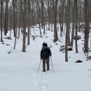 2026-05-06 Outdoor activities with Hiking Mania, Jan-Apr 2026 이미지