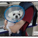 바다동물병원 이미지