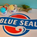 아이스크림블루 | 미야코지마 블루씰 아이스크림 메뉴 맛 추천 후기