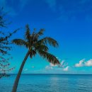 북부대로 | 사이판 북부투어 여행 코스 시간 그로토 새섬 후기