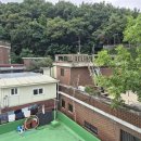 중앙동223 이미지