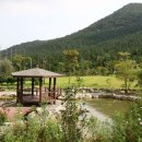 백동무궁화동산 이미지