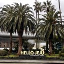 방주 농원 펜션 | 제주투어패스 무료 코스 추천 (성산 서귀포 애월 조천) - 1인 30만원 4인 가족 제주도 여행 | 제주2박...