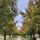 국민생활체육 게이트볼전용구장 | 화천의 가을 산천어파크골프장 화천 파크골프대회 기간