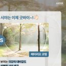 리오안경원 이미지