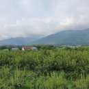 구만농장 이미지