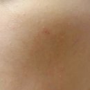 레드파인 | 비건클렌저의 정석, 베르비아떼 레드파인 폼클렌징 구매후기