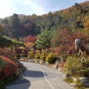 덕평공룡수목원 이미지