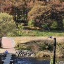 러쉬헬스 이미지