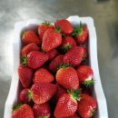 순성농장 이미지