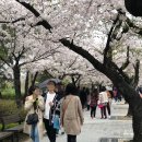 주식회사 아이에프씨몰테이스팅 | 여의도 테이스팅룸 메뉴 가격 방문기 : ifc몰