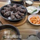 고향돼지국밥 | 울산 남구 맛집 국밥 고향돼지국밥 돼지국밥 맛집