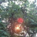 해뜰무렵 이미지