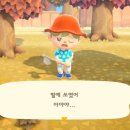 이아니상점