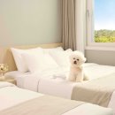 제주 휴리조트 2 이미지