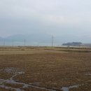 내동~사내호 Daum카페