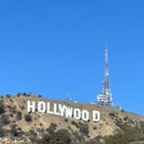 인앤아웃마켓코리아 이미지